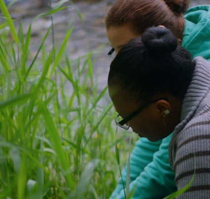 Water Quality Monitoring_bg