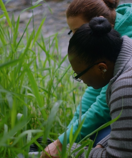 Water Quality Monitoring_bg